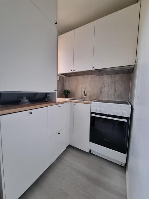 Seinäjoen Puistokulma Apartment in Finland