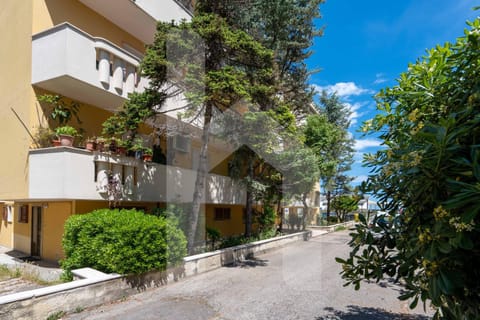 Neighbourhood, Street view