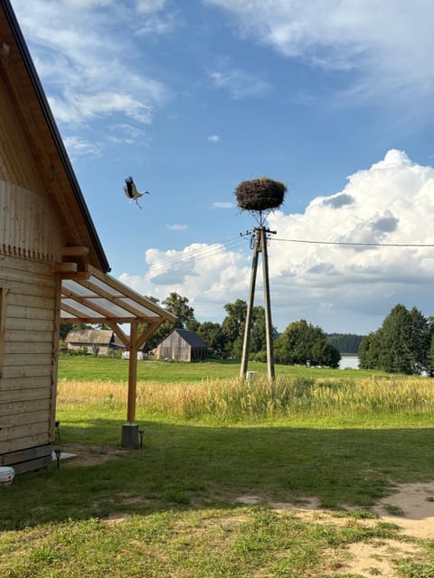 Day, Natural landscape, Garden, Garden view