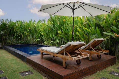 Spring, Day, Garden, Garden view, Pool view, Swimming pool, sunbed