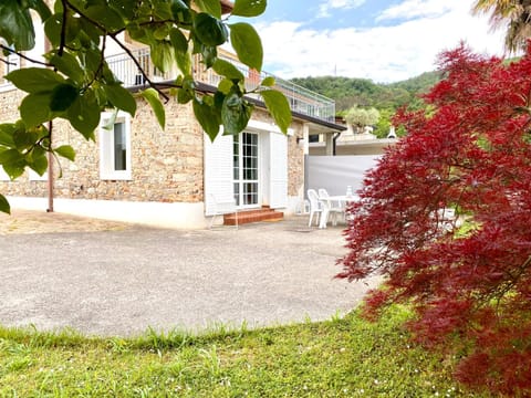 Property building, Garden view