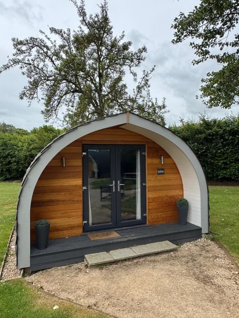 Day, Garden, Garden view