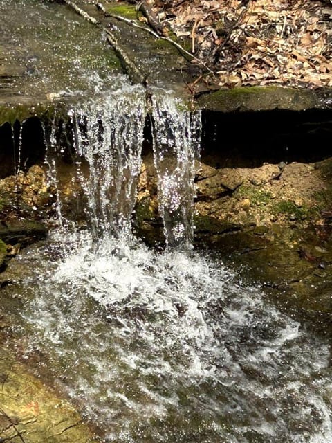 Charming Cabin with Hot-tub and Stunning Views in Campbellsville, Kentucky Cabin in Kentucky