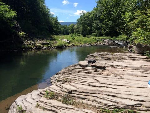 Cozy Getaway Cabin for Two near Esopus River in Shandaken, New York Cabin in Shandaken