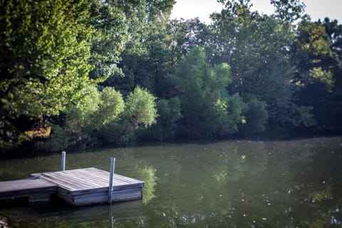 Lakefront Cozy Cabin with Hot-tub in Carbondale, Illinois Cabin in Carbondale