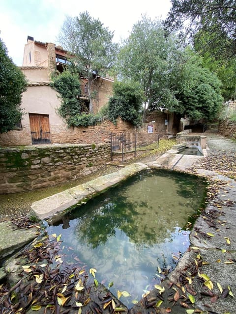 Natural landscape