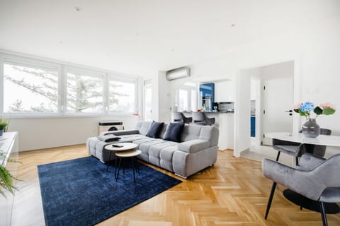 Living room, Dining area, air conditioner