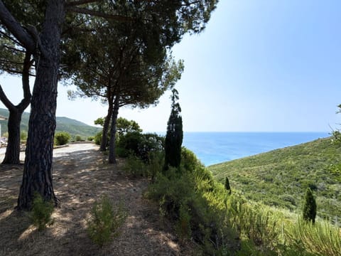 View (from property/room), Garden view