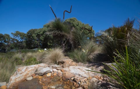 Natural landscape, Beach, Swimming pool, Swimming pool