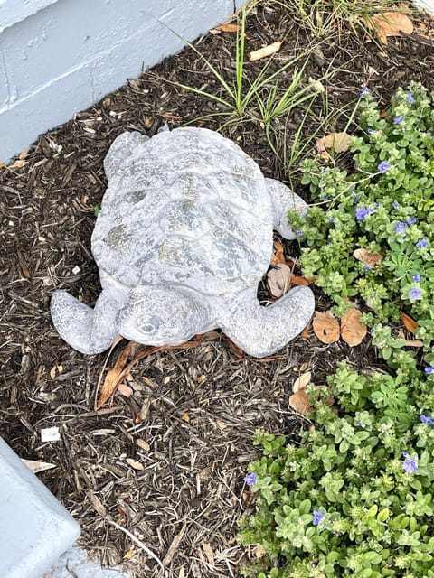 Clearwater Hideaway w Huge Lap POOL 7 min to BEACH House in Florida