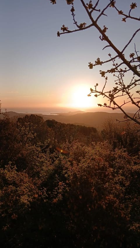 Natural landscape, Sunrise
