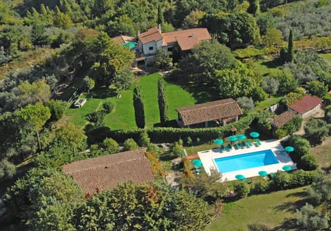 Natural landscape, Garden, Pool view