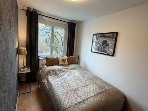 Appartement Sissi Apartment in Altmünster