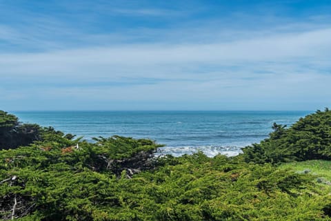 La Costiera Ocean & Bluff Views With Hot Tub House in Sonoma County