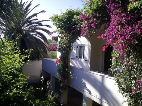 Day, Balcony/Terrace