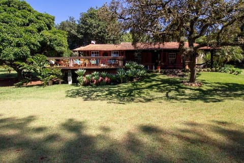 Patio, Garden, Garden view