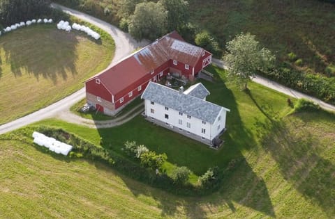 Bird's eye view, Garden