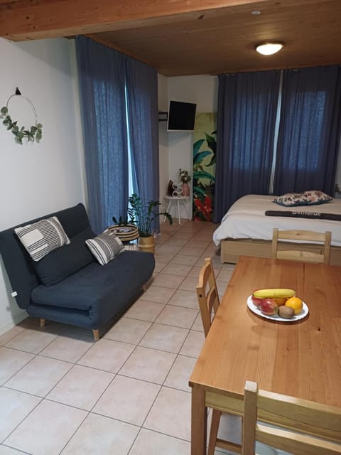 Studio de vacances avec vue sur le lac de Morat Apartment in Neuchâtel, Switzerland