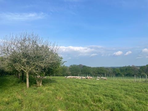 Gîte de penhaudan 1 House in Finistere