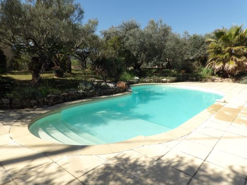 Garden, Swimming pool, Swimming pool