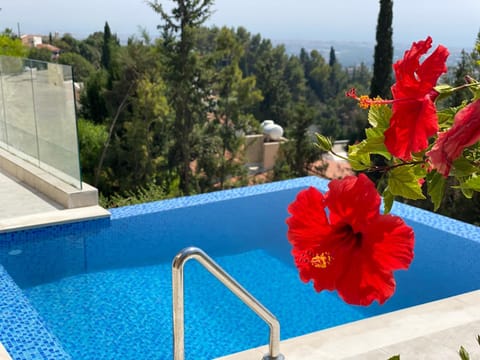 Natural landscape, Pool view, Swimming pool