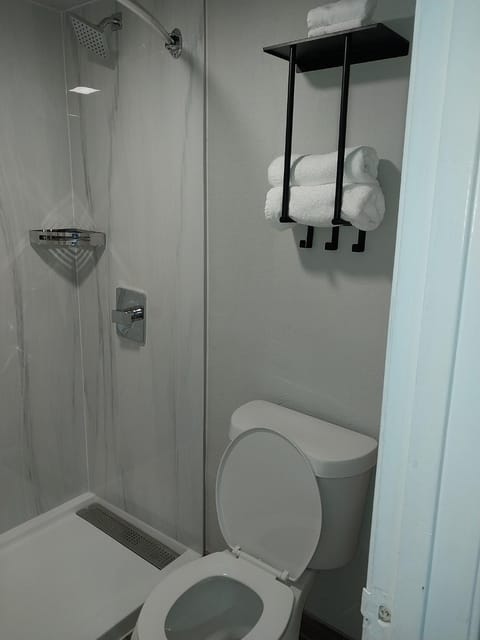 Toilet, Bathroom, towels