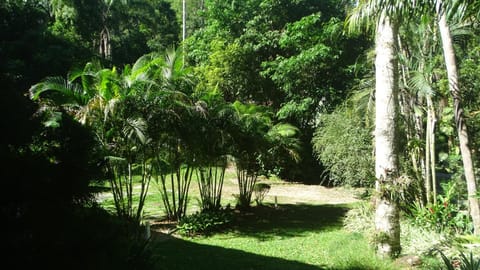 Spring, Day, Natural landscape, Garden, Garden view