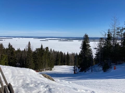 Koli country club basic 6 Apartment in Finland