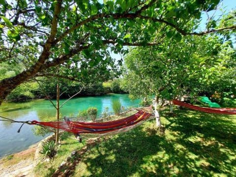 Day, Natural landscape, Garden, View (from property/room), River view