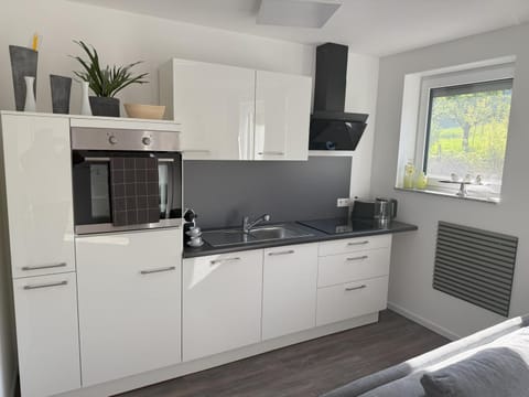 Kitchen or kitchenette, stove