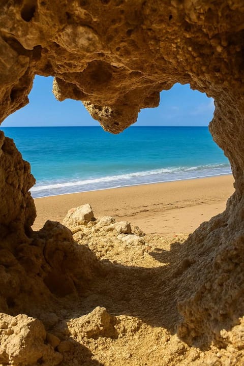 Nearby landmark, Beach