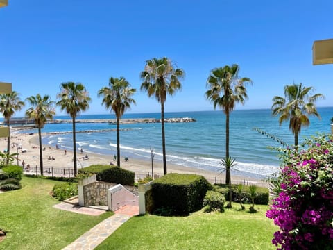 Natural landscape, Garden, Beach, Garden view, Sea view