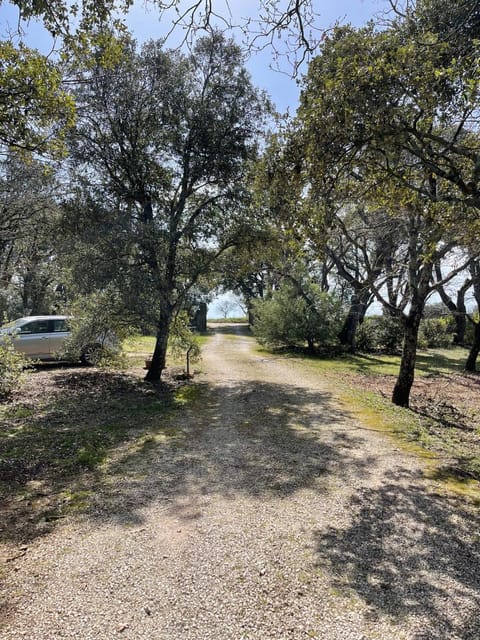 La bergerie Bed and Breakfast in Grignan