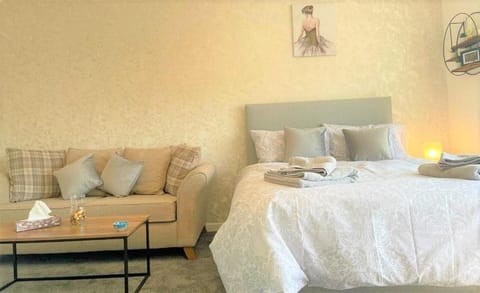 Cosy, Stunning Studio, NEC - BHX Apartment in Solihull