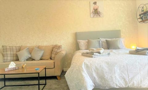 Cosy, Stunning Studio, NEC - BHX Apartment in Solihull