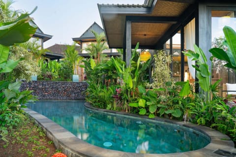 Pool view, Swimming pool