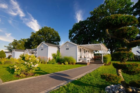 Property building, Natural landscape, Garden