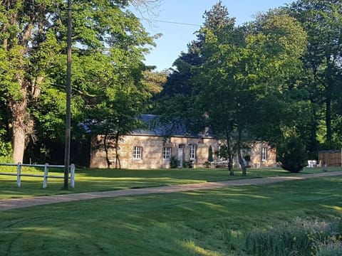 Property building, Natural landscape, Garden