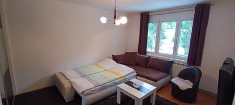 Sarajevo Flat for Rent Apartment in Sarajevo