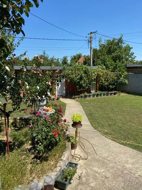 Apartmani Jasminka Bed and Breakfast in Serbia