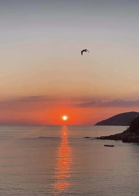 Natural landscape, Balcony/Terrace, Sea view, Sunset