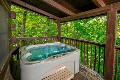 Smoky Mountain Jewel Unit 2 by Avada Properties House in Sevierville