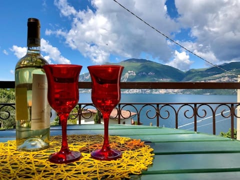 The Lake House Apartment in Brenzone sul Garda