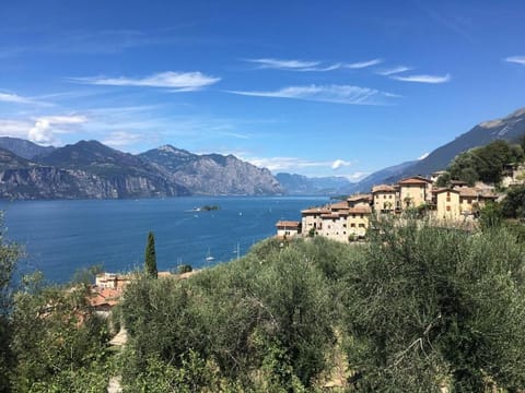 The Lake House Apartment in Brenzone sul Garda