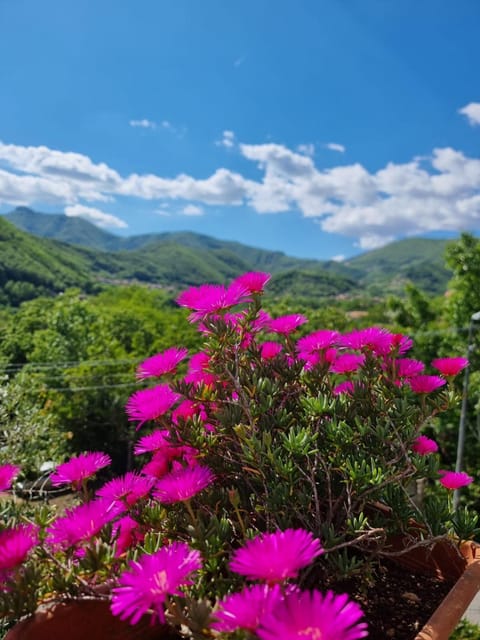 Natural landscape