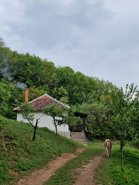 Domaćinstvo Ristović House in Serbia