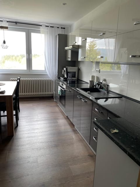 Kitchen or kitchenette, Dining area, dishwasher, stove