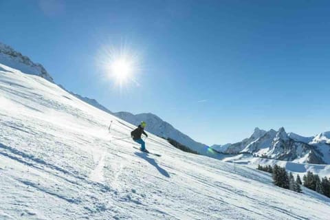 Privates Gästezimmer mit eigenem Bad & Küche im UG Apartment in Fribourg, Switzerland