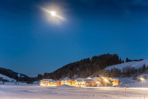 Property building, Winter