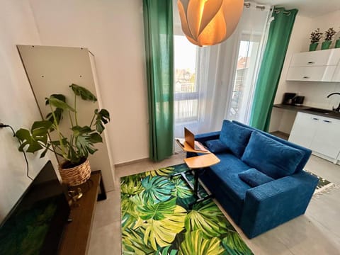 TV and multimedia, Kitchen or kitchenette, Living room, Seating area
